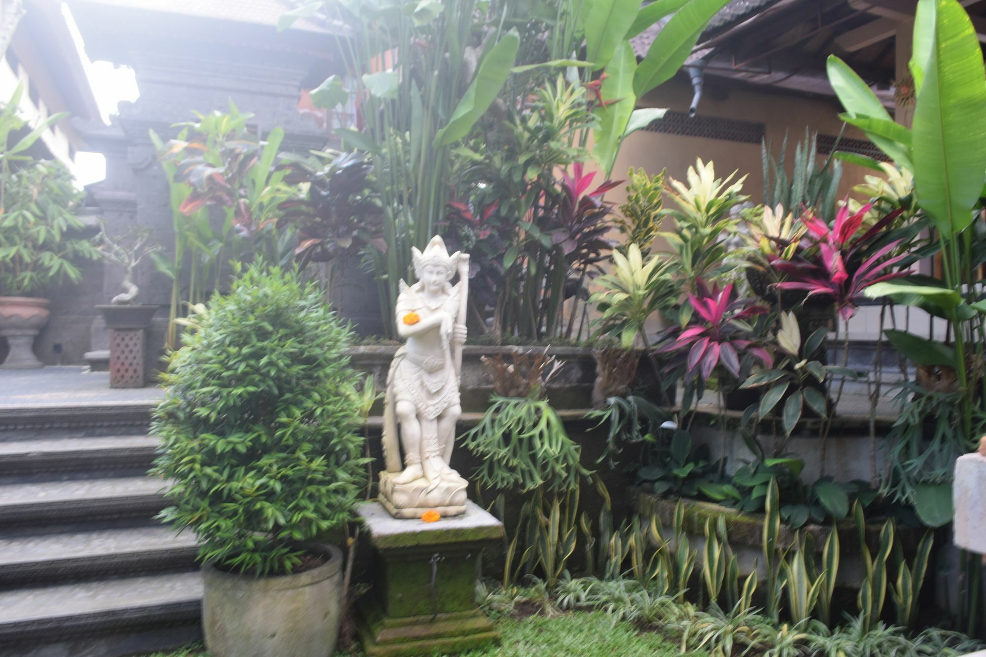 Aura Bisma Otel Ubud Dış mekan fotoğraf